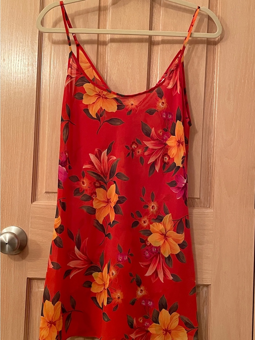 Victoria's Secret Sheer Red Floral Slip Dress with Green Leaf Accents - Picture 1 of 11
